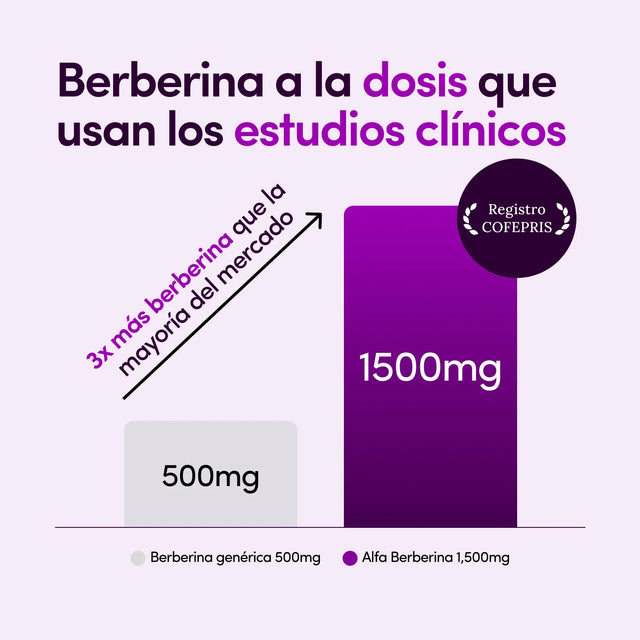 Alfa Berberina