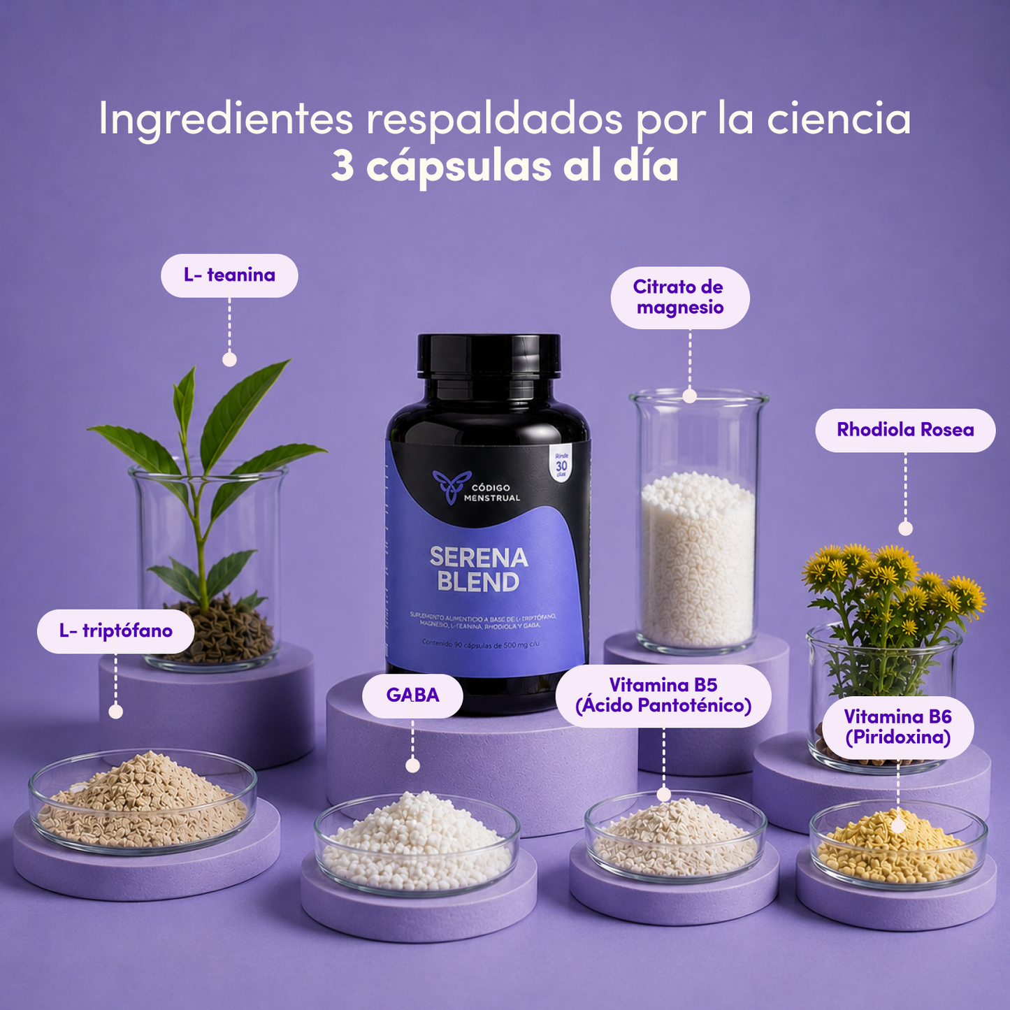 Kit Ciclo en Calma